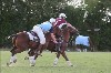 UKPA  NC Sat_1549